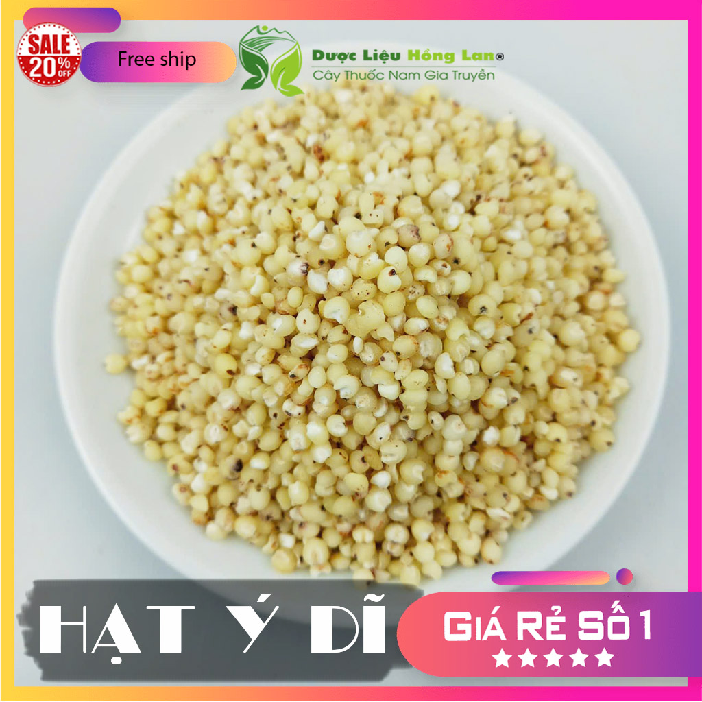 [FreeshipMAX] ✅[THƯỢNG HẠNG] 100g Hạt Ý Dĩ đẹp loại 1 - (Hàng chính hãng)