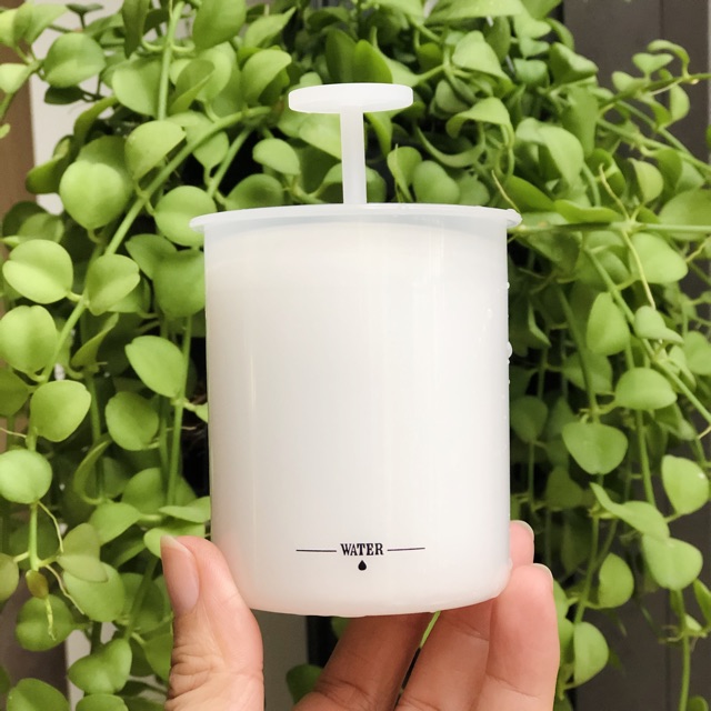 Cốc tạo bọt sữa rửa mặt nhỏ xinh