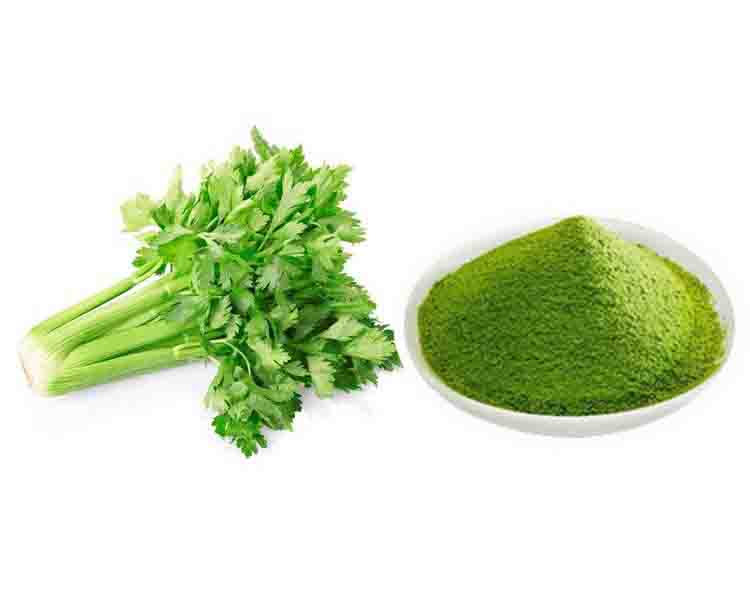 Bột Cần Tây sấy lạnh nguyên chất (Giảm cân, thải độc, tốt cho sức khỏe)