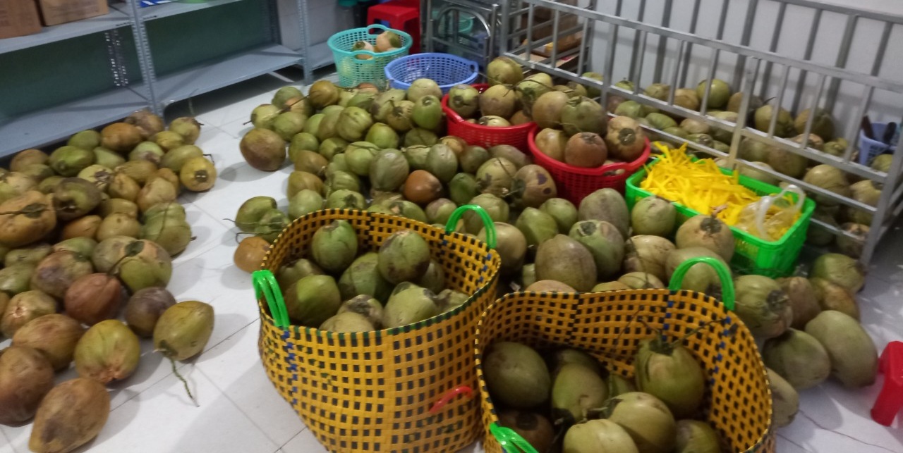 (Nhập RS0822 giảm 30k cho đơn 99k ) Dừa Sáp Đặc Biệt Trái 1-1.2kg
