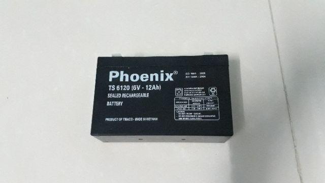 BÌNH ẮC QUY XE ĐIỆN TRẺ EM 6V 12AH