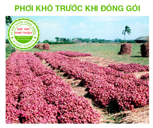 Hành Tím Phan Rang 2kg (Đặc Sản Ninh Thuận)
