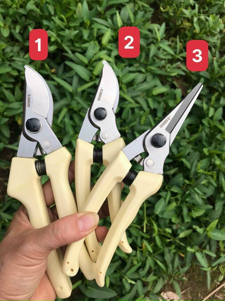 Bộ dụng cụ chăm sóc cây cảnh, bonsai