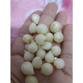 500g Hành tăm quê nghệ an (củ nén)