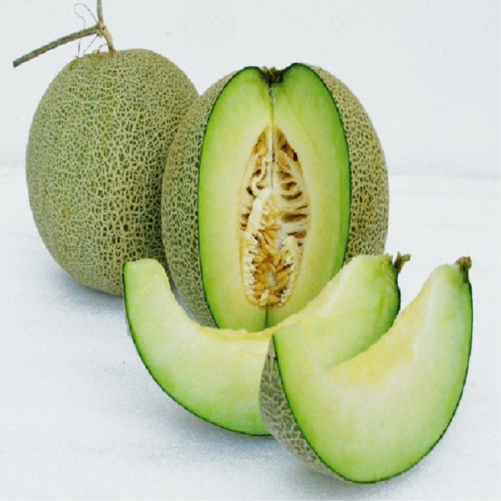 Hạt giống Dưa Lưới F1 - 1gr