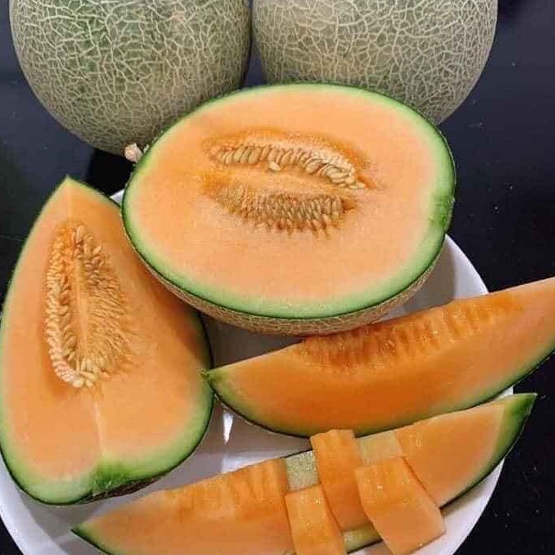 HẠT GIỐNG DƯA LƯỚI NGỌT