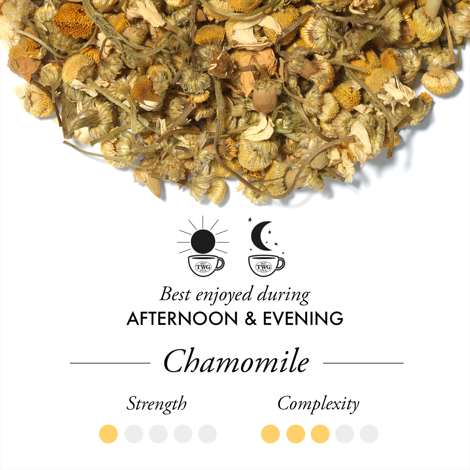 Trà TWG Tea - Chamomile Tea (2.5g x 15 túi lọc) | Trà Hoa Cúc | Trà Thảo Dược