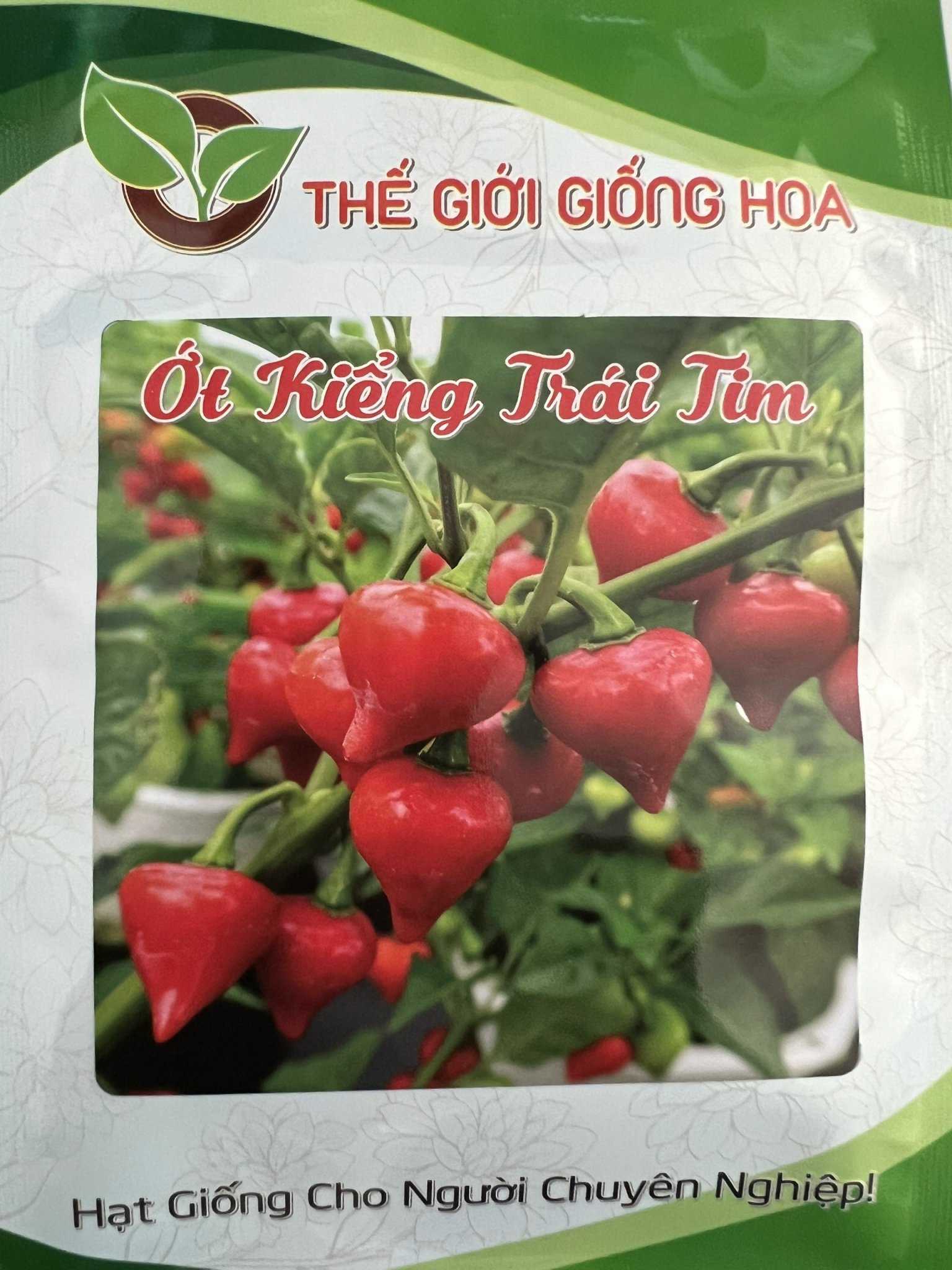 Hạt Giống Ớt Kiểng Trái Tim (Gói 100 Hạt)