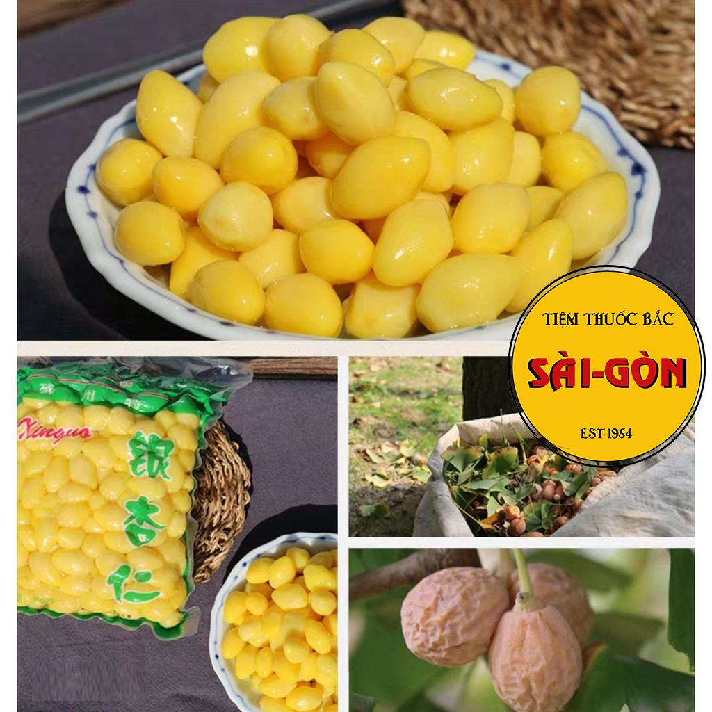 [HCM]Bạch Quả Gói 250g
