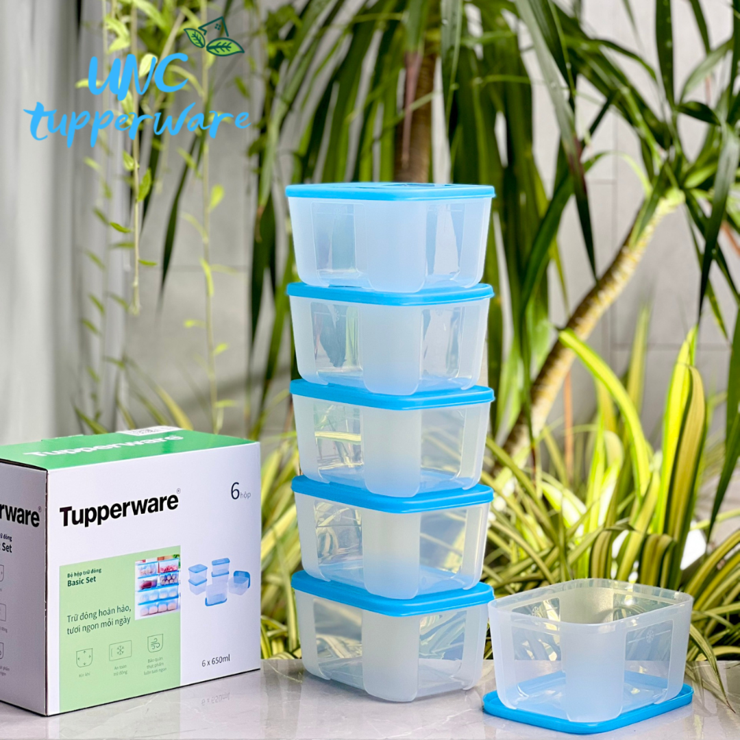 Bộ hộp trữ đông Tupperware Basic Set 650ml (6 Hộp)