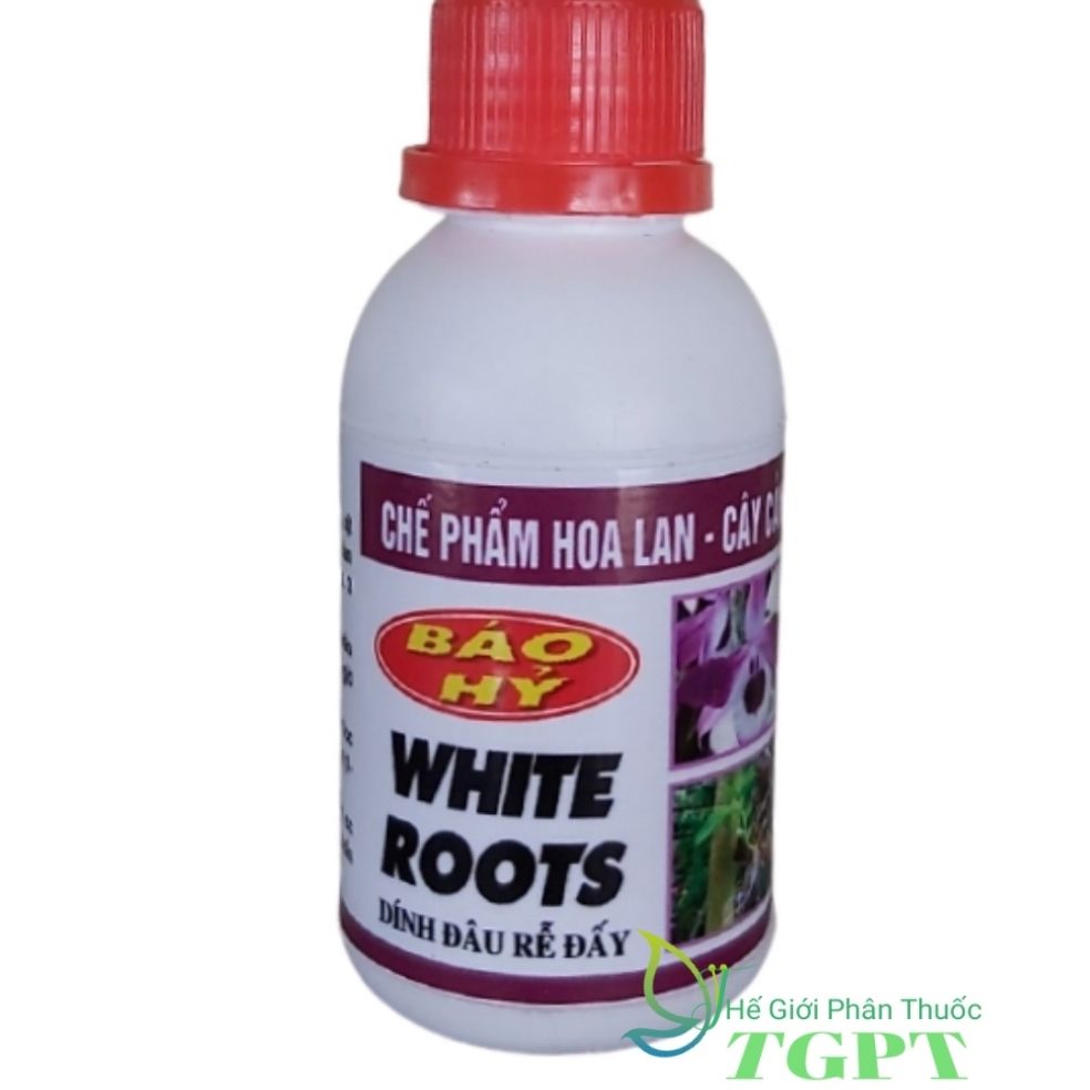 WHITE ROOTS - Siêu Kích Rễ Báo Hỷ - Dính Đâu Rễ Đấy - 100ml