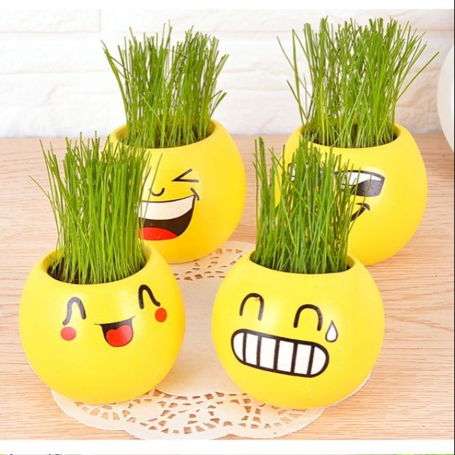Combo 2 Chậu cây để bàn mini mặt cười
