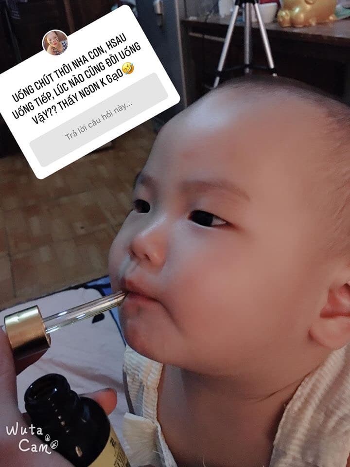 Dầu húng chanh minion (kháng sinh tự nhiên)