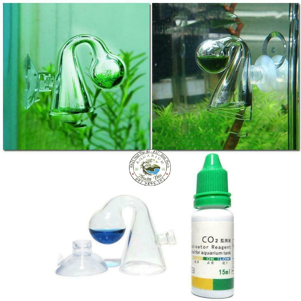 Combo Dung Dịch Kiểm Tra Nồng Độ Co2 ( Test CO2 ) và cốc thủy tnh
