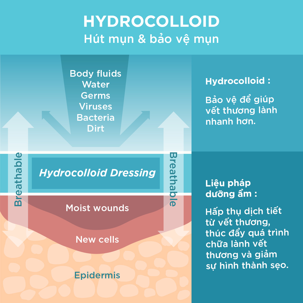 Combo Dán Mụn Day Plus (Salicylic Acid) & Mix Derma Angel