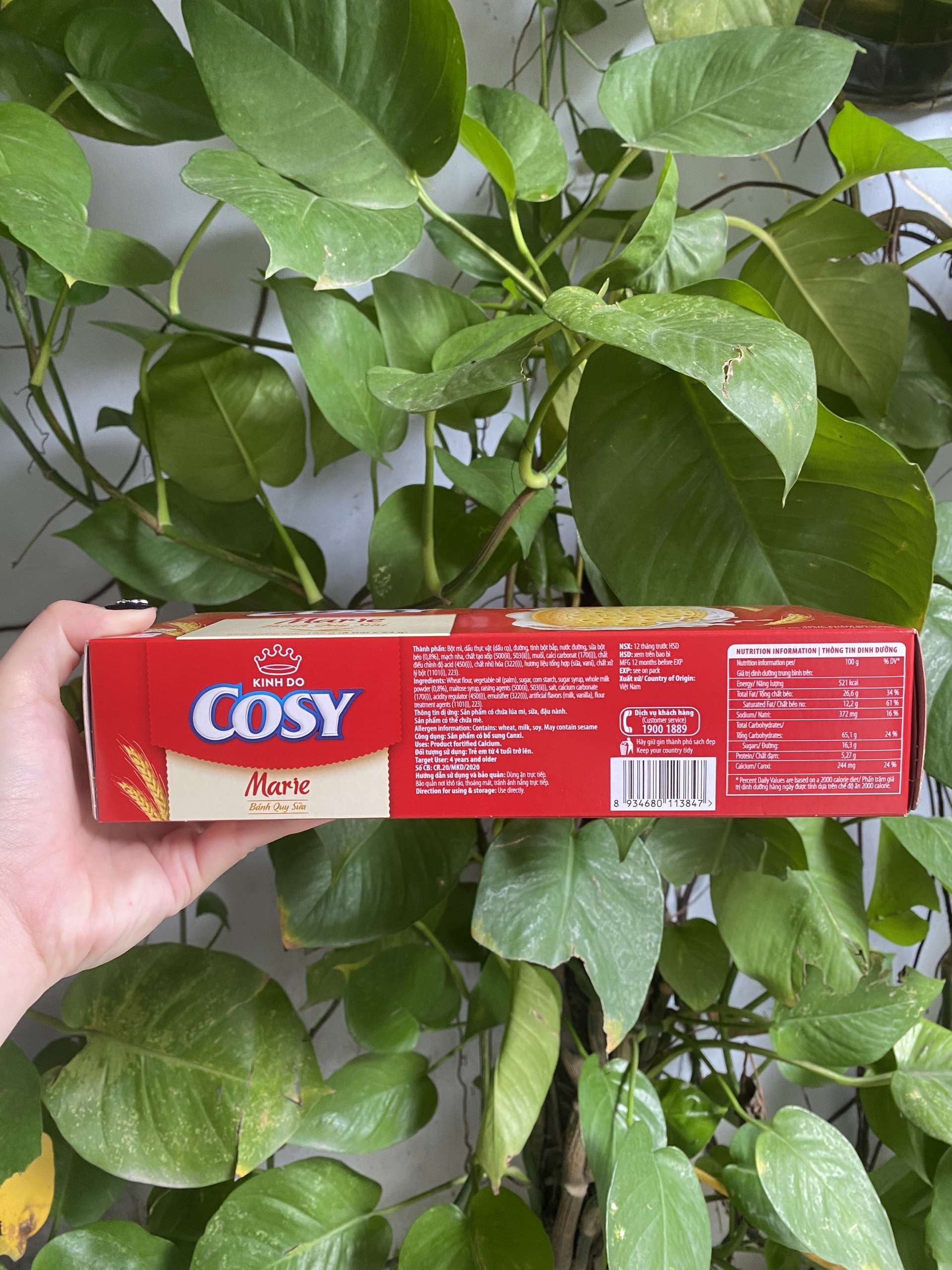 Cozy Marie Milk Flavored Cookies (Box of 192g)