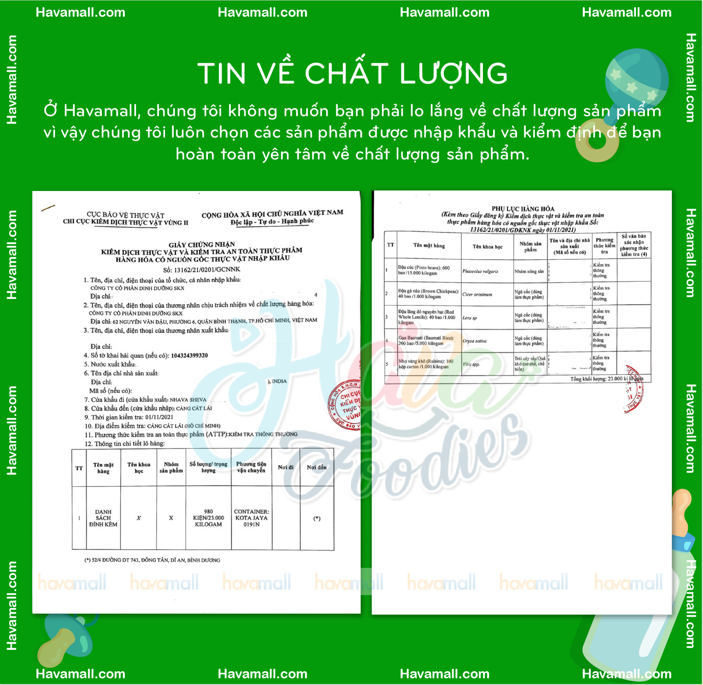 [HOÀN TIỀN MAX 10%][ HÀNG CÔNG TY NHẬP KHẨU ] Đậu Cúc Pinto Canada 200gr