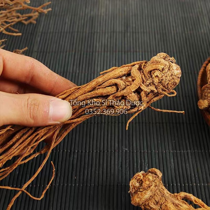 Sâm Đương Quy 100g (Củ Đương Quy)