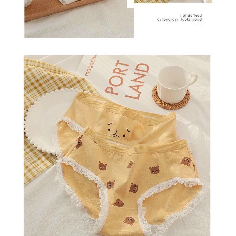 combo 5 quần gấu vàng chất cotton mát co dãn 40-58kg