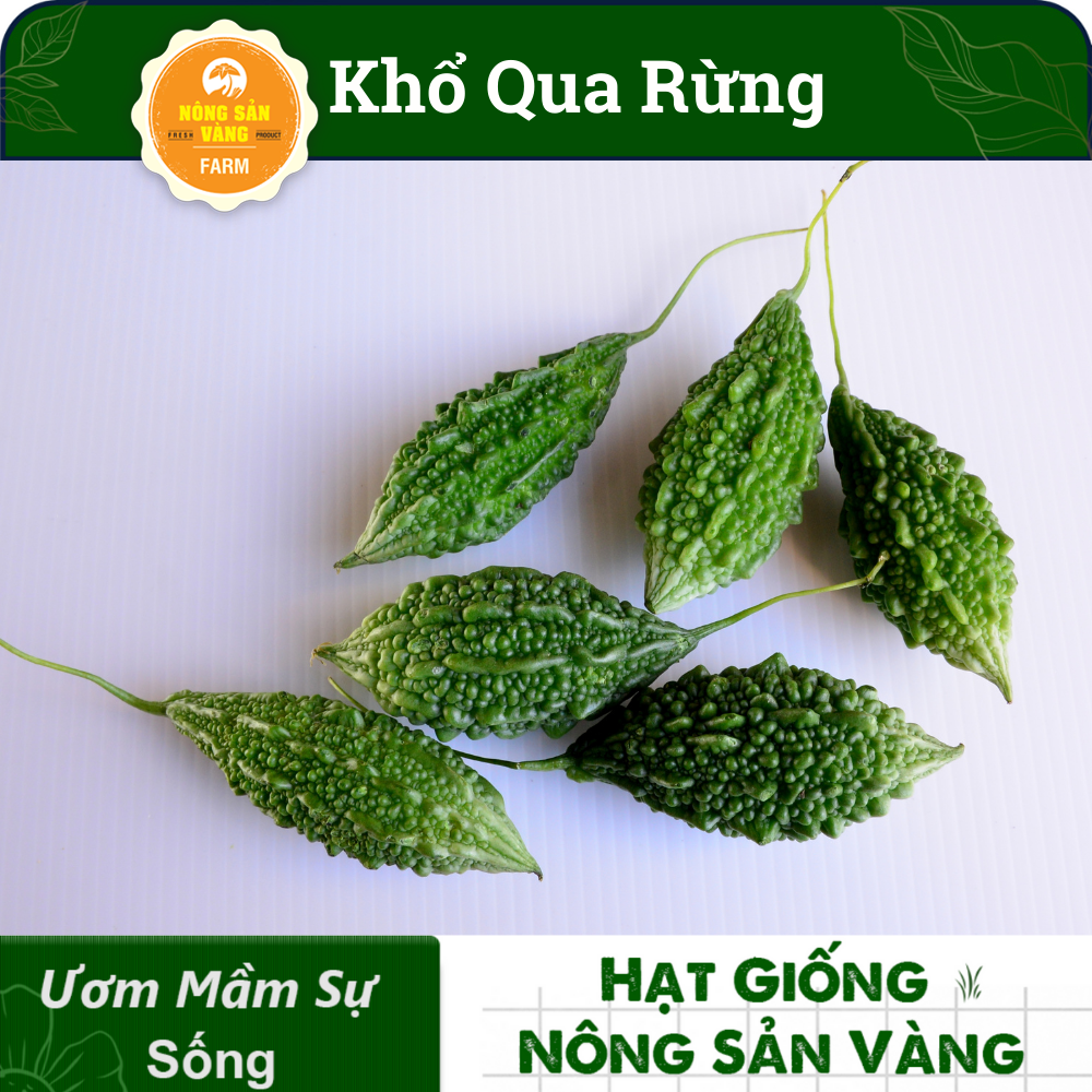 Hạt giống Khổ Qua Rừng Nảy Mầm Cao, Giàu Giá Trị Dinh Dưỡng (Gói 10 Hạt) - Nông Sản Vàng