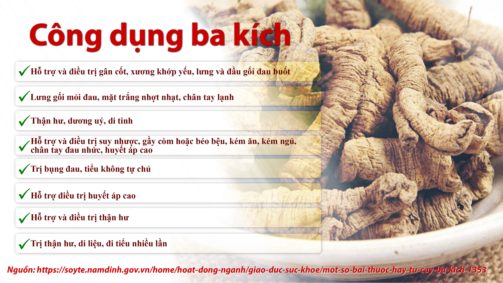 Nhân Sâm Hòa Tan CND GINSENG RED sâm nhập khẩu 100% từ Canada