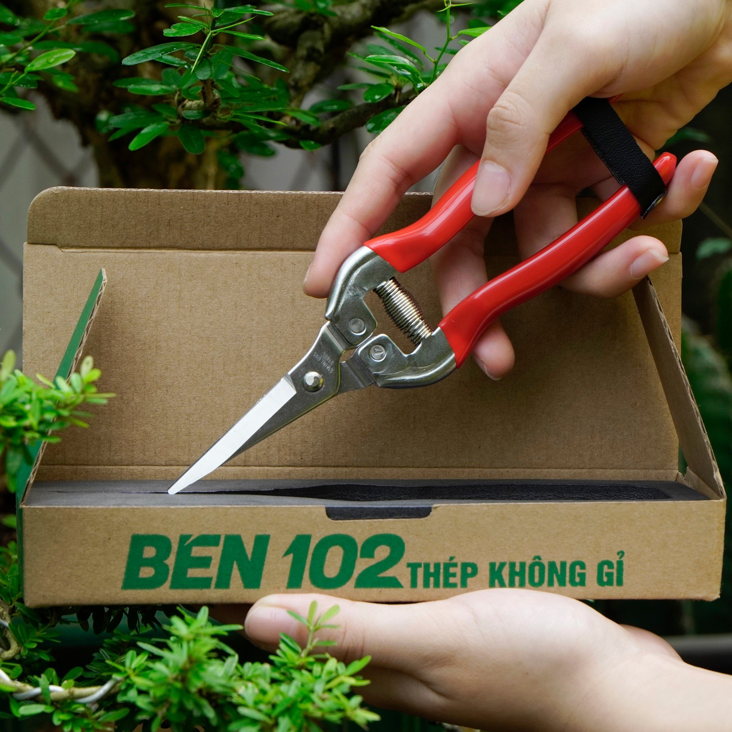 Kéo Cắt Tỉa Hoa Lan, Cây Cảnh BÉN 102