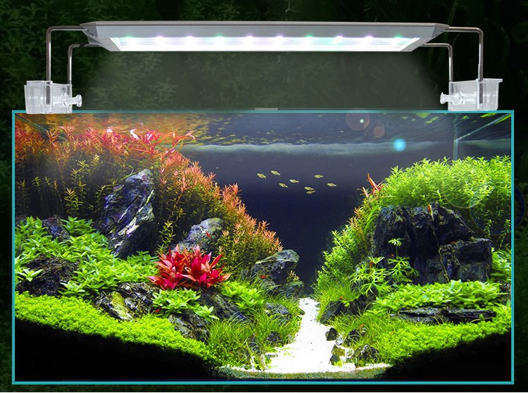 Đèn Led AquaBlue WRGB - Dee-600D - Đèn Led cho hồ thủy sinh