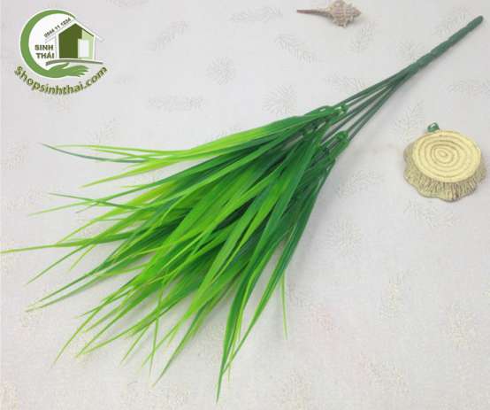 [HCM]Bụi cỏ lúa màu xanh