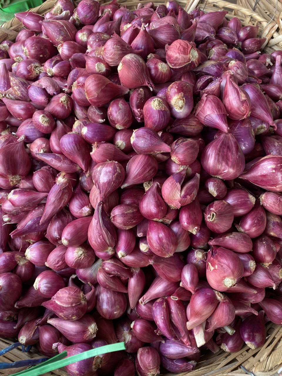 hành tím ấn độ loại 1 đạt chuẩn ngon,rẻ,(tỏi tím bắc,hành tím phan rang,tiêu,ớt bột)