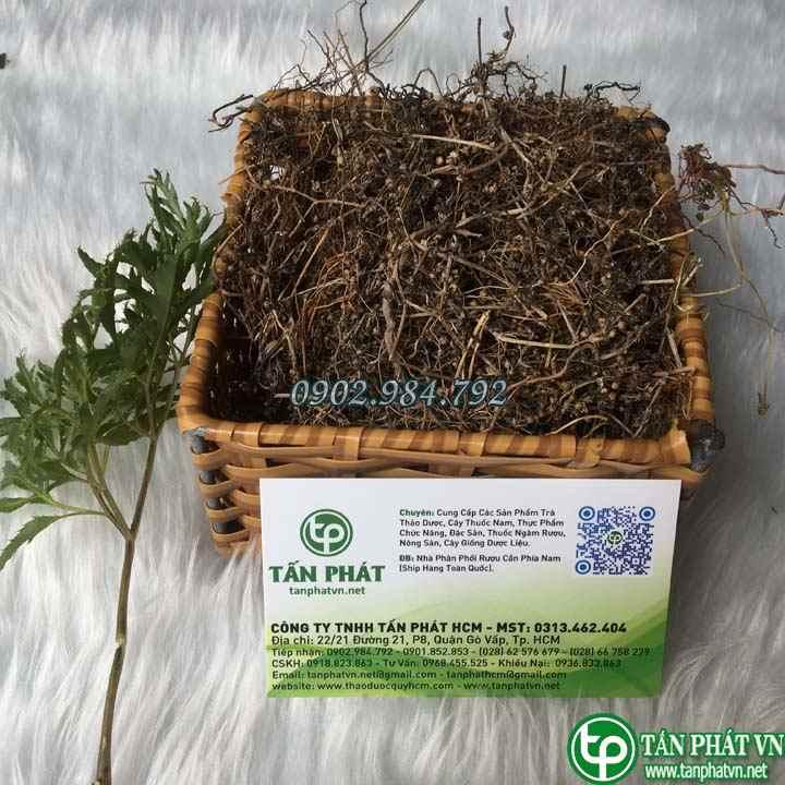 Bạch hoa xà thiệt thảo 500g - Hàng loại 1 tốt cho sức khỏe