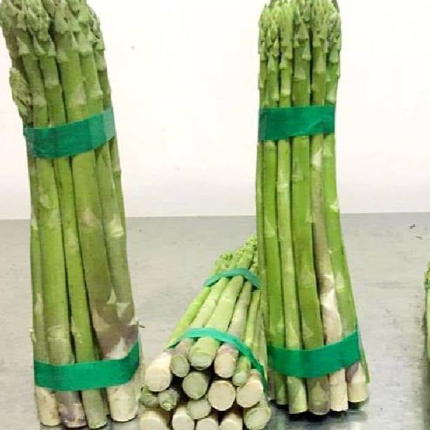 Hạt giống Măng Tây xanh-gói 20 hạt(tặng kèm phân bón)