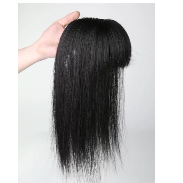 Tóc giả mái đẹp 😻😻-Tóc giả che hói mái thưa sợi tơ cao cấp