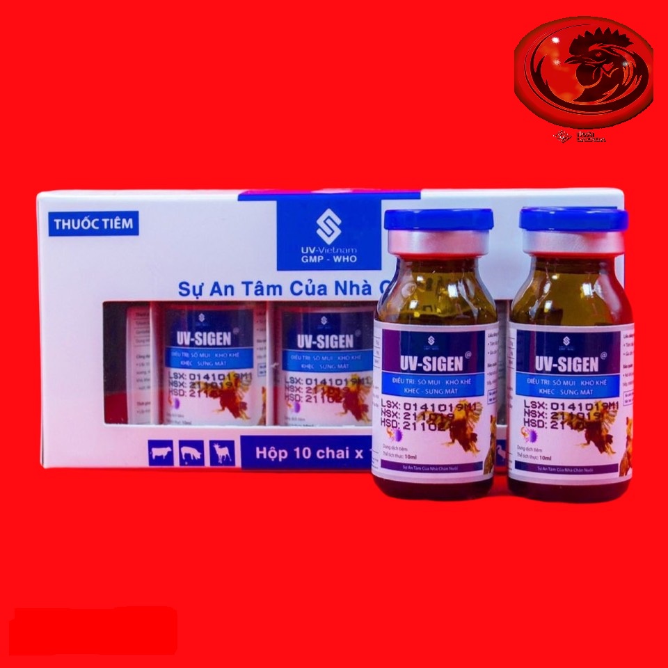 UV - SIGEN đặc trị xỗ mũi, khò khè cho gà đá 1  HỘP 10 LỌ