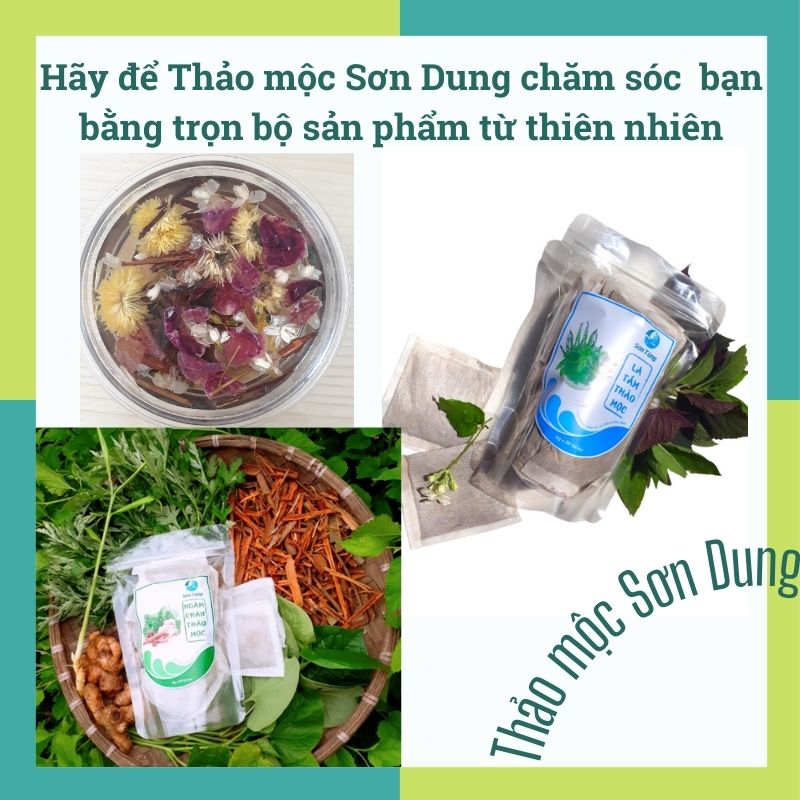 [Freeship+Quà 18K] Dầu Gội Đầu Bồ Kết Thảo Mộc Sơn Dung, Combo 03 hộp 60 túi lọc, GĐ03, 100% Tự Nhiên Sạch Gàu Hết Ngứa Sảng Khoái Thư Giãn Giảm Đau Đầu Cảm Cúm, Tặng Thảo Mộc Xông Mặt giá 18K