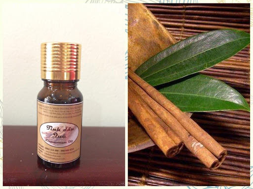 [HCM]Tinh Dầu Quế Nguyên Chất Tự Nhiên 20ml - Tính Dầu Quế Yên Bái