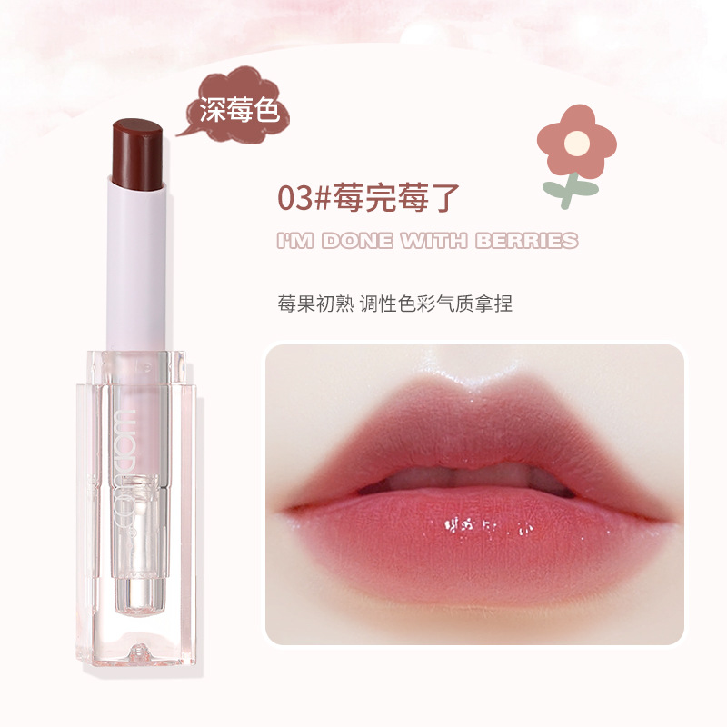 Son dưỡng có màu wodwod wonderful w1011