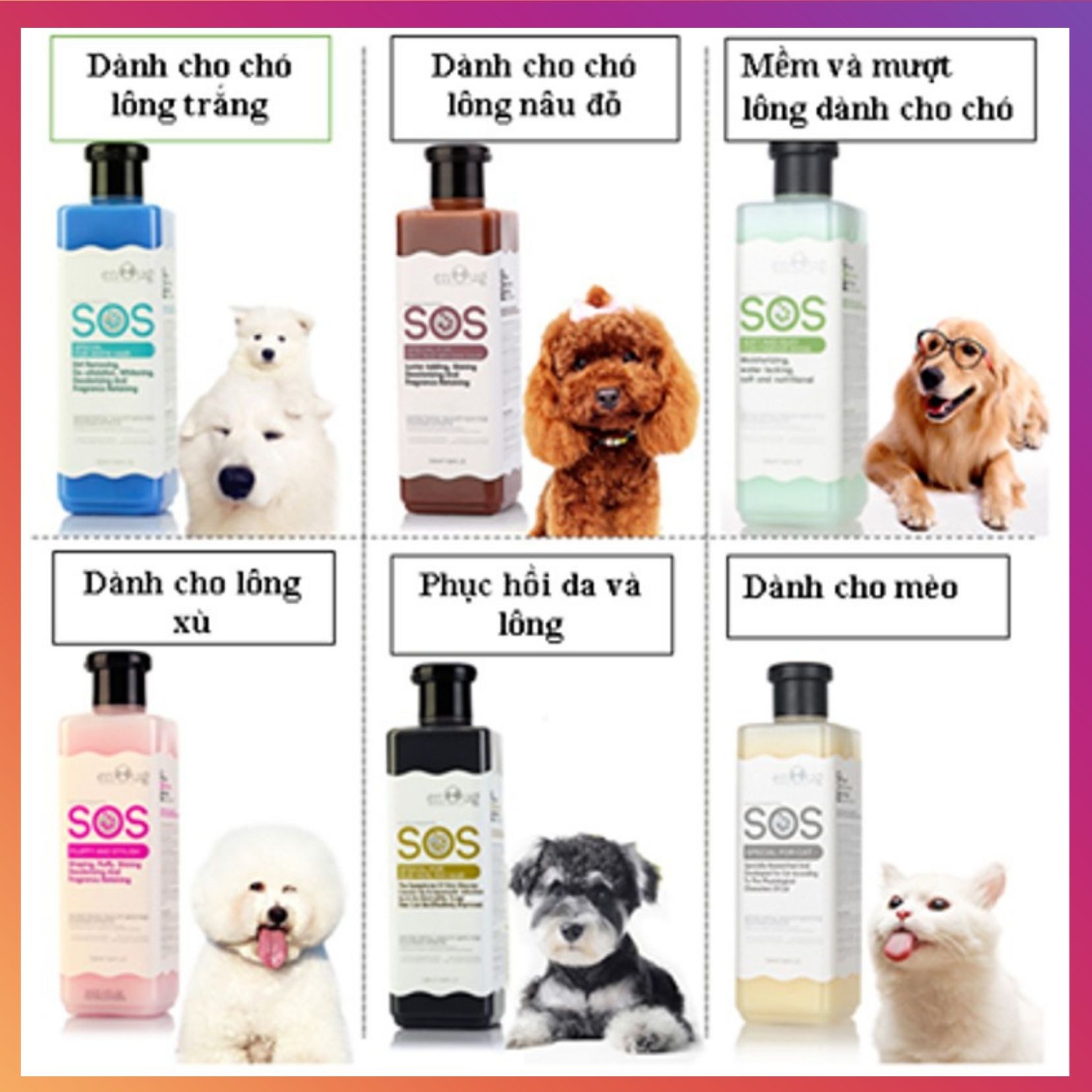 Sữa tắm cho chó poodle, sạch thơm và không làm phai màu lông của bé, sữa tắm cho chó lông nâu, dòng chuyên dành cho chó lông nâu đỏ, sữa tắm chó poodle giữ nguyên màu lông bé iu - Petlover