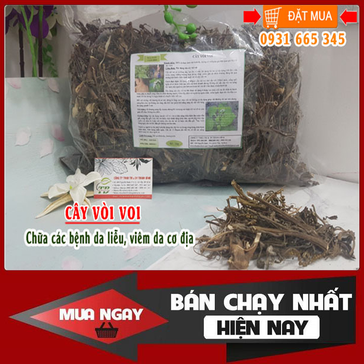 Cây vòi voi khô 100g loại 1 - thảo dược thanh bình