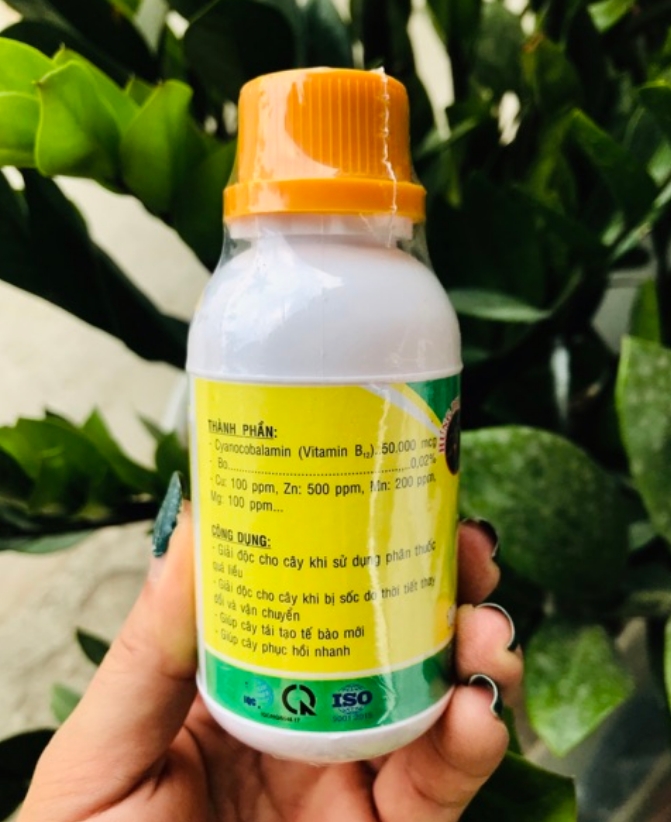 Chế phẩm Vitamin B12 - Giải độc cho cây (100ml)
