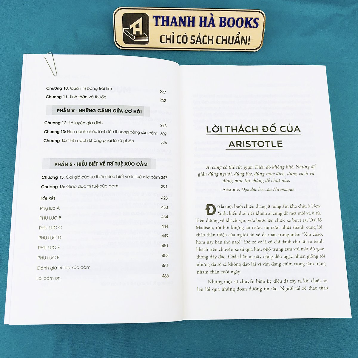 Sách Trí Tuệ Xúc Cảm- Daniel Goleman