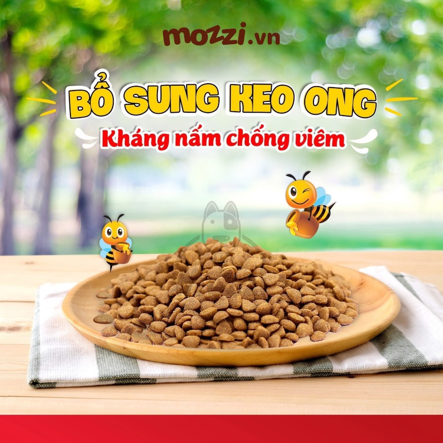 [Bịch 1kg] Today's Dinner Thức ăn Hạt cho mèo mọi lứa tuổi