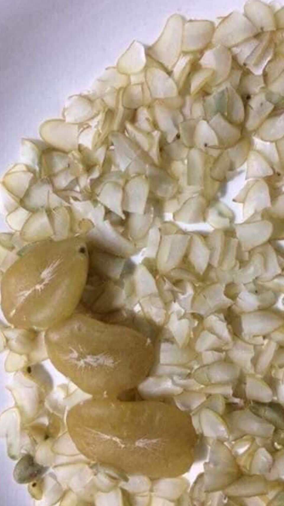 Com bo 100 hạt Sang ( hạt trắng )