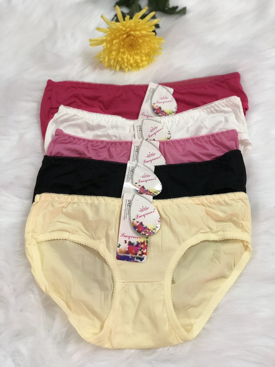 Combo 05 Quần lót nữ thu cotton lụa, mềm mịn, co giản, Size 40-53kg