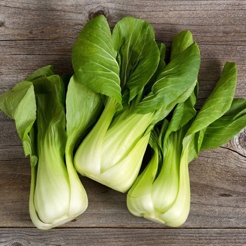Hạt giống RAU ĂN LÁ - HẠT GIỐNG CẢI THÌA