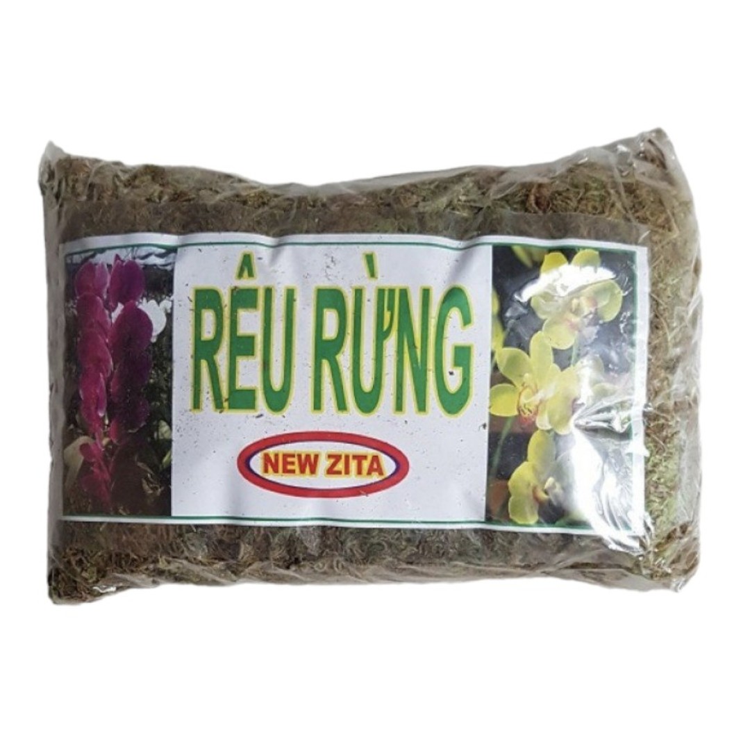 Rêu rừng trồng lan ghép lan