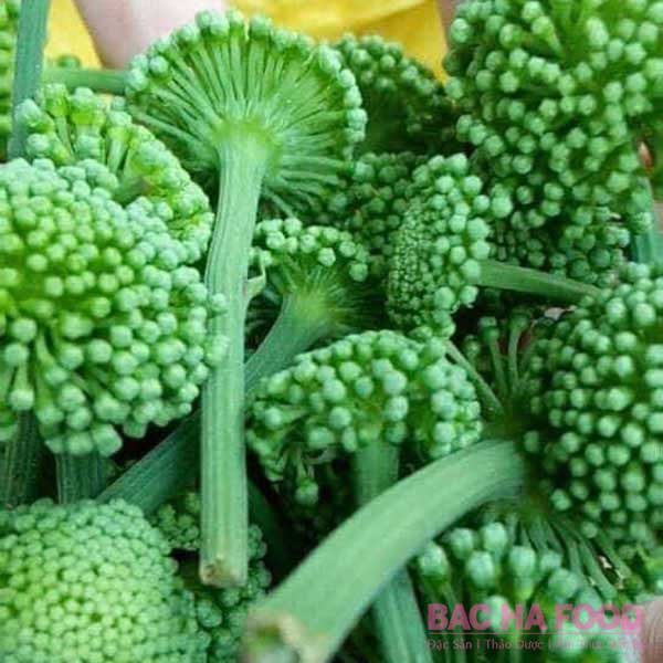 Bich hoa tam thất bắc sa pa loại 1 200g