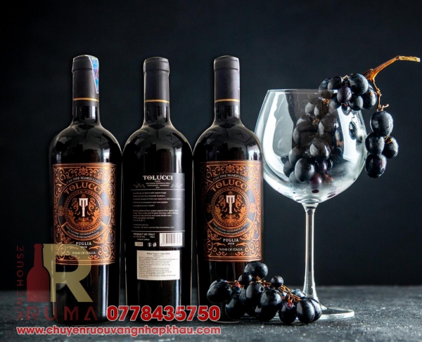Vang đỏ Ý Tolucci 14 chính hãng 750 ml