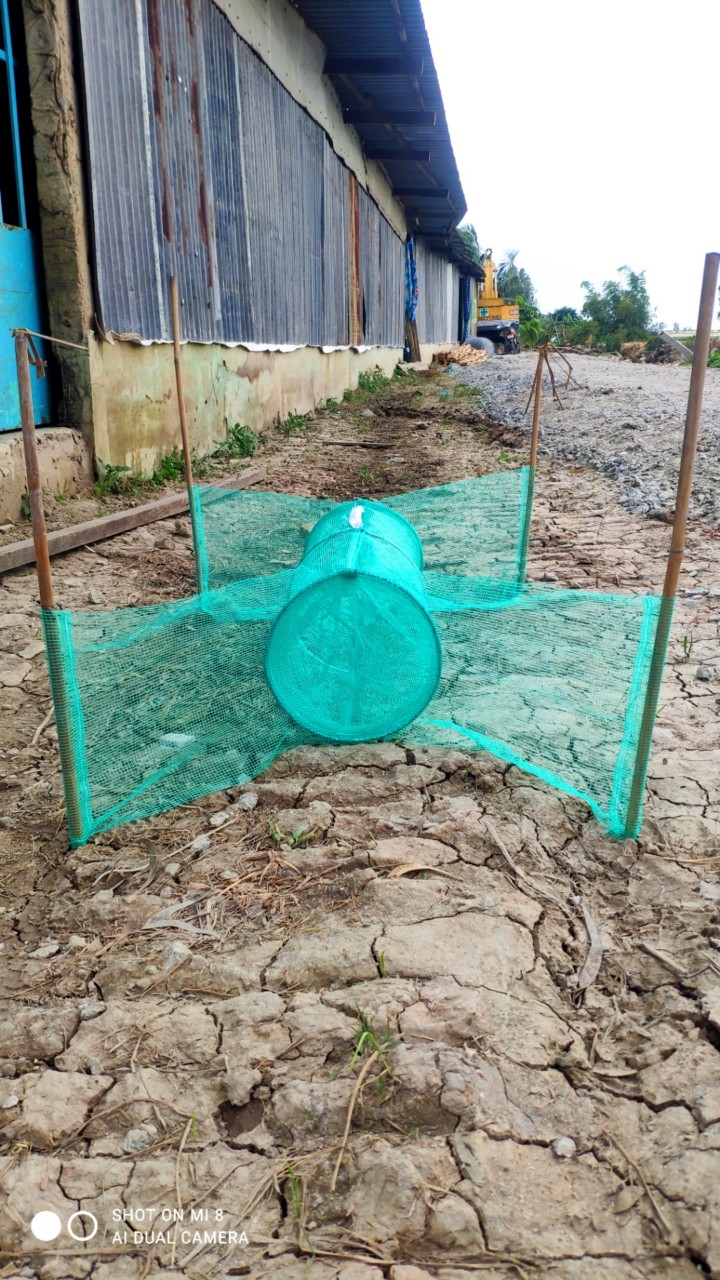 Bẫy đa năng loại lớn dùng bắt ếch, cua, lươn, cá, rắn