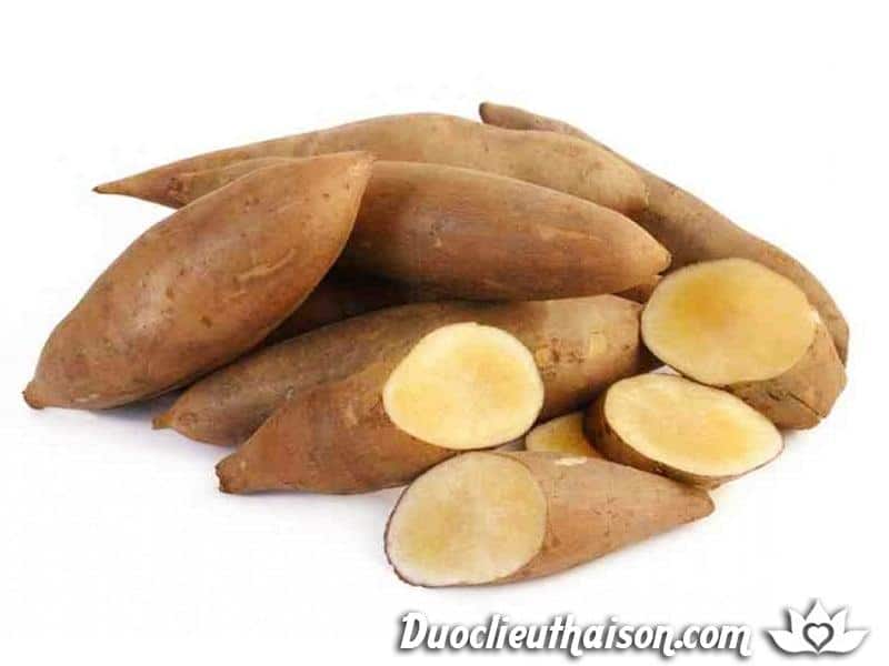 "Gói 15 Hạt " Hạt Giống Sâm Đất ( Thổ Sâm )