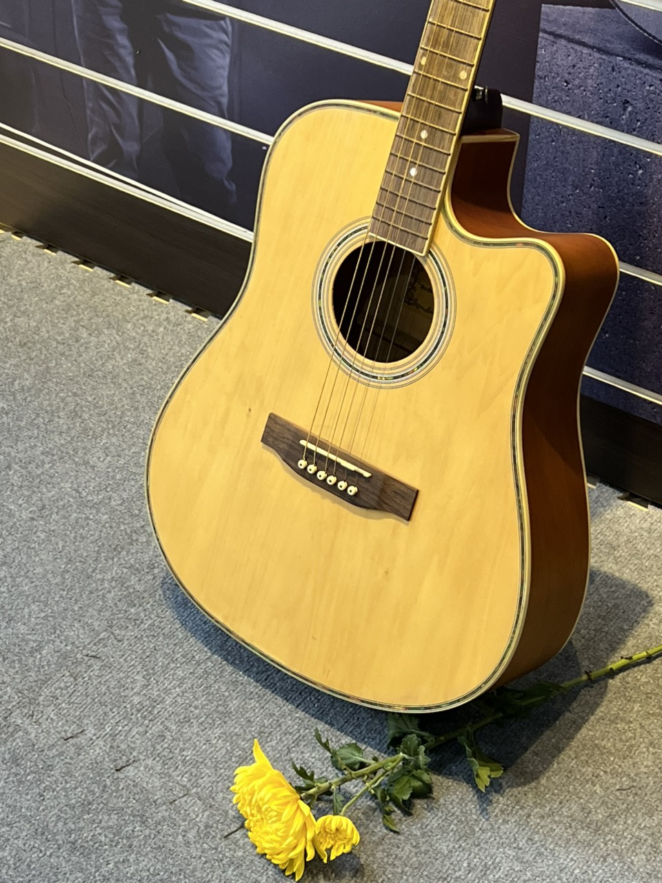Đàn guitar Acoustic Vines VA4125N Chính Hãng
